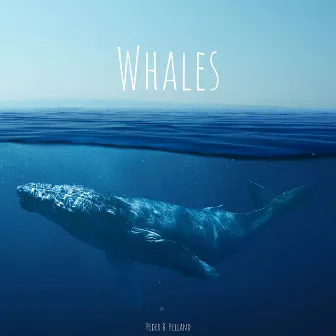 Whales by Peder B. Helland