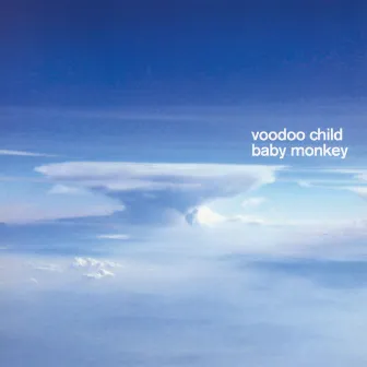 Baby Monkey by Voodoo Child