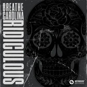 Ridiculous by Breathe Carolina