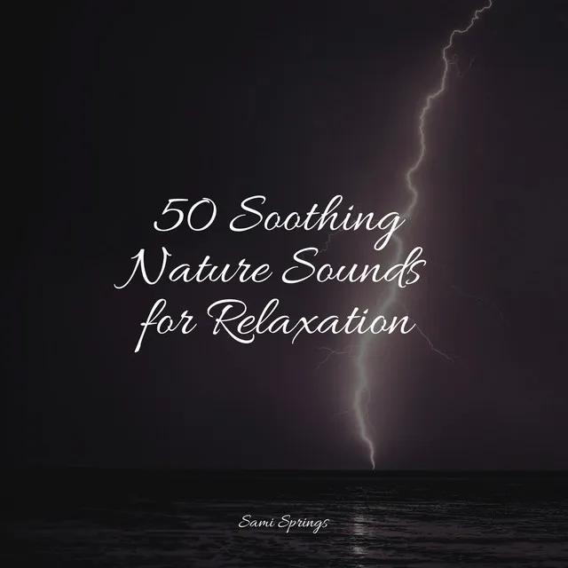 50 Soothing Nature Sounds for Relaxation