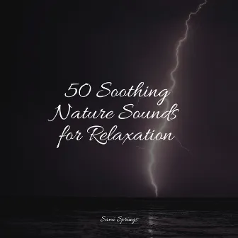 50 Soothing Nature Sounds for Relaxation by Sample Rain Library