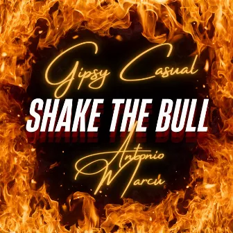 Shake the Bull by Gipsy Casual