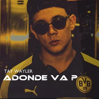 ADONDE VA? by Tay Wayler