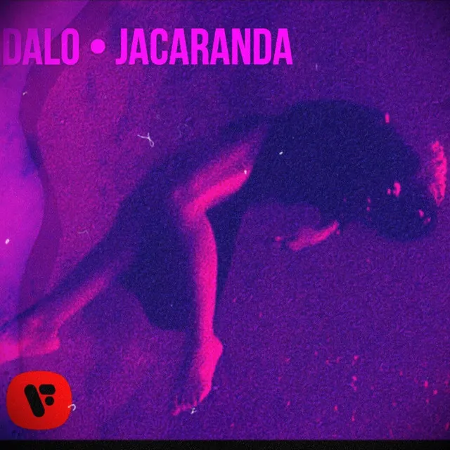 Jacaranda