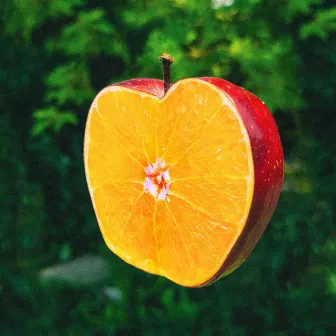 Apples + Oranges by TOCK + TONE