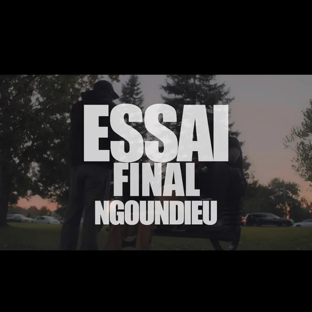 Essai final