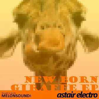 New Born Giraffe by Astair Electro