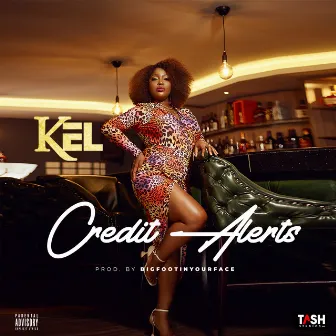 Credit Alerts by Kel