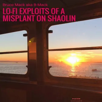 Lo-Fi Exploits of a Misplant on Shaolin by Bruce Mack