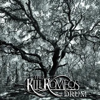 Drum by The Kill Romeos