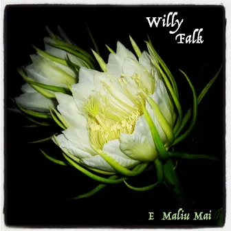 E Maliu Mai by Willy Falk