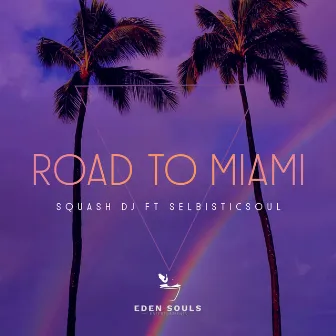 Road to Miami by Squash DJ