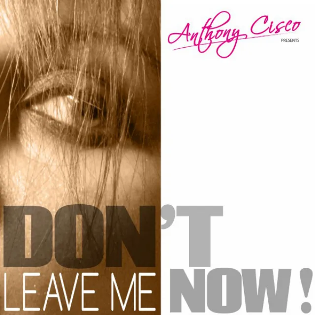 Don't Leave Me Now - Radio Edit