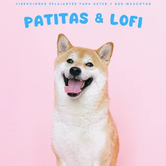 Patitas & Lofi: Vibraciones Relajantes Para Usted Y Sus Mascotas by El Rey Lofi