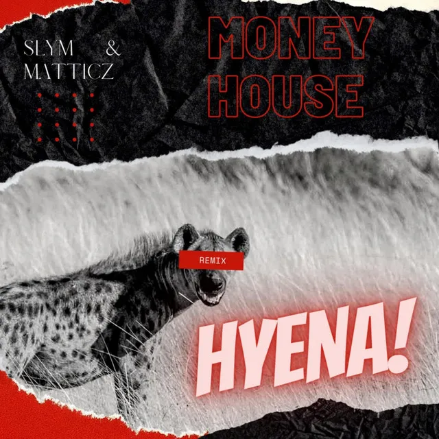 Hyena - Remix