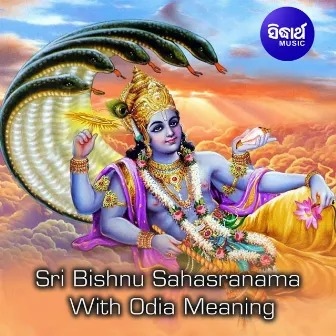 Sri Bishnu Sahasranama With Odia Meaning by Bishnu