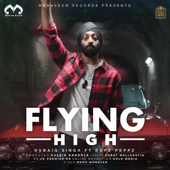 Flying High by Subaig Singh