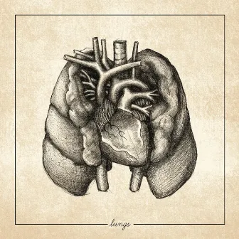 Lungs by Regrowth