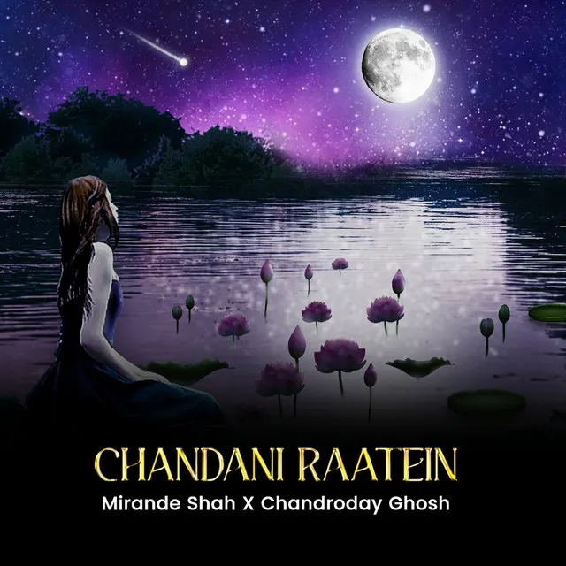 Chandani Raatein (Funkified Version)