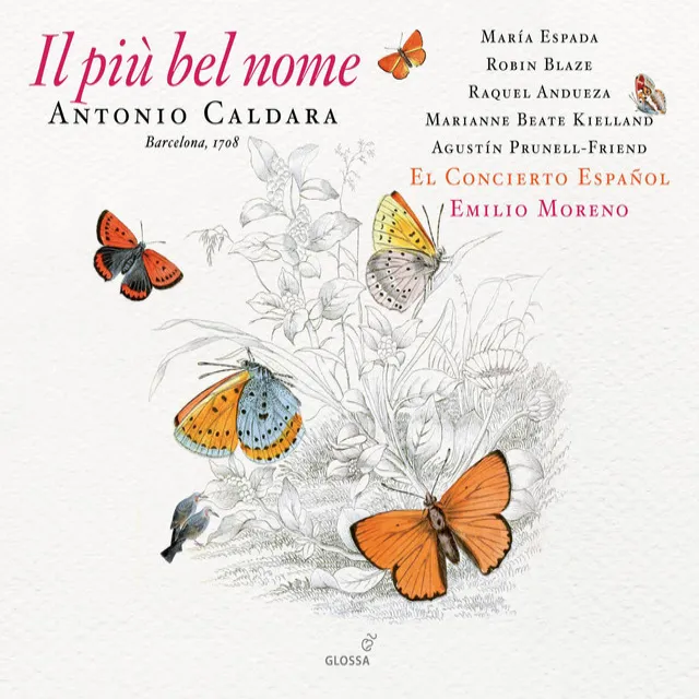 Il più bel nome: Pt. I: Ritornello