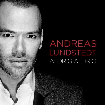 Aldrig aldrig by Andreas Lundstedt