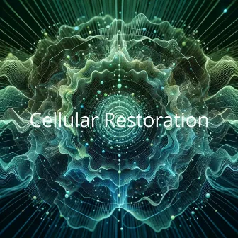 Cellular Restoration: Revitalizing Frequencies for Instant Healing at 288Hz by Healing Miracle Frequency