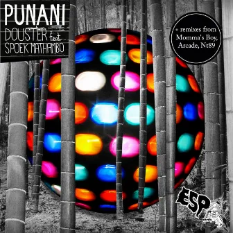 Punani by Douster