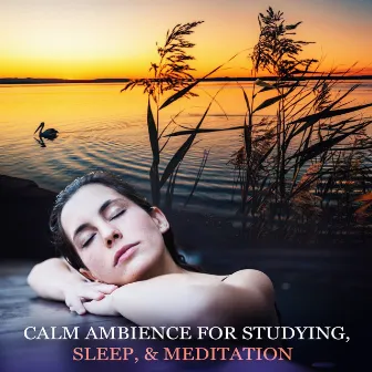 Calm Ambience for Studying, Sleep, & Meditation by Sleep Meditate Relax