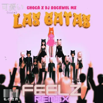 Choca X Dj Rockwel Mx (LAS GATAS) [FEELZ REMIX] by FEELZOFICIAL 12