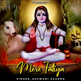 Mere Paliya by Ashwani Sharma