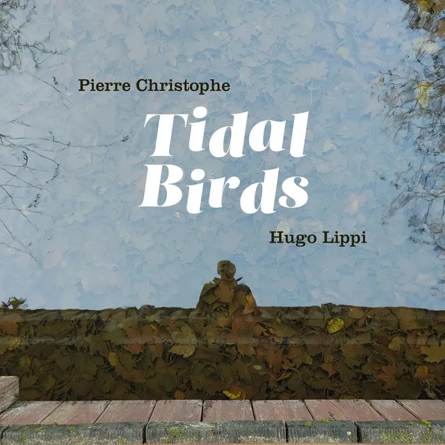 Tidal Birds