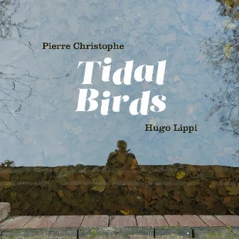 Tidal Birds by Pierre Christophe