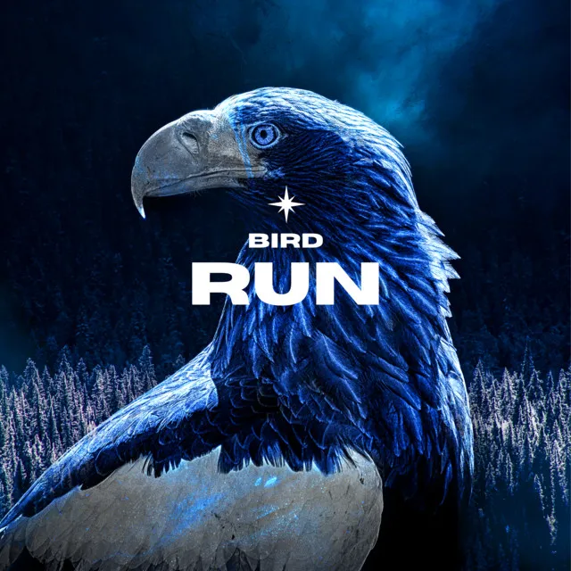 Bird Run