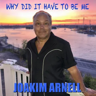 Why Did It Have to Be Me by Joakim Arnell