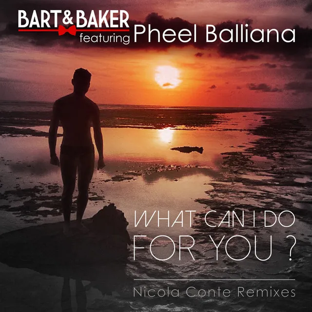 What Can I Do for You ? (Nicola Conte Remix) [feat. Pheel Balliana]