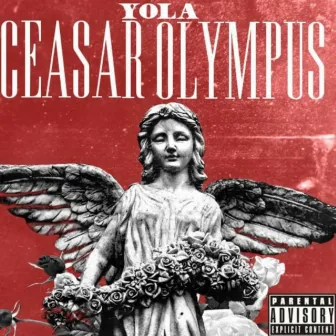 Ceasar Olympus by MGM Yola