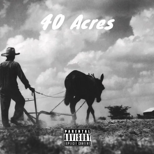 40 Acres