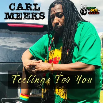 Feelings For You by Carl Meeks