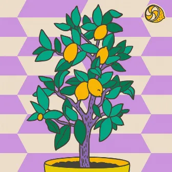 Lemon Trees by 