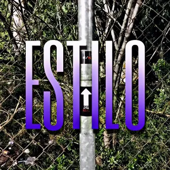 Estilo (Overdose Remix) by USAM