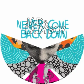 Never Come Back Down by Jad & The Ladyboy