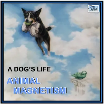 A Dog's Life by Animal Magnetism