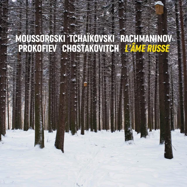 Violin Concerto No. 1 in A Minor, Op. 99 (Op. 77): III. Passacaglia (Andante)