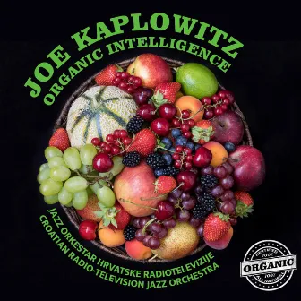 Organic Intelligence by Joe Kaplowitz