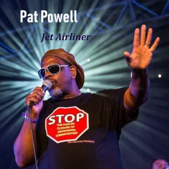 Jet Airliner by Pat Powell