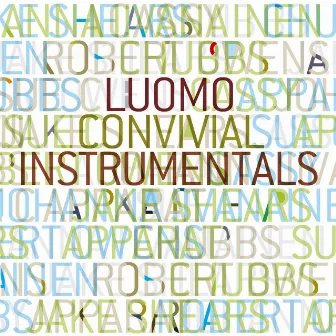 Convivial - Instrumentals by Luomo