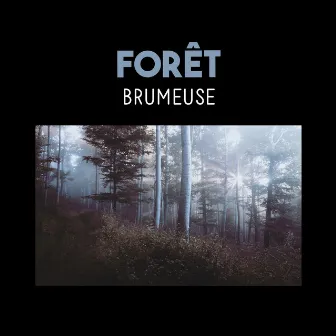 Forêt brumeuse (Musique d'ambiance, Musique pour dormir, Yoga kundalini, Espirit libre) by Zone de Sons Naturels