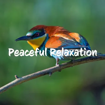 Relaxing Piano Music With Water Sound by Soothing Relaxing Melody