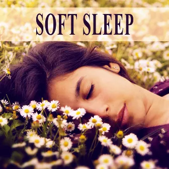 Soft Sleep - Sounds of Nature, Soothing Sounds, Deep Sleep, Cure Insomnia, Sleep Music by Sleep Well Oasis