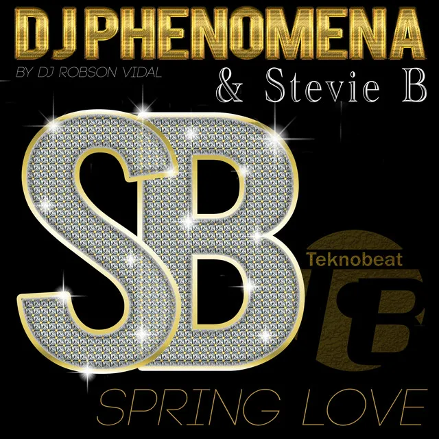 Spring Love (DJ Vidal Extended Teknobeat Mix)